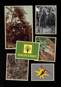 Image 3 of The Occultaria Of Albion Vol 16 - Cobbington Woods