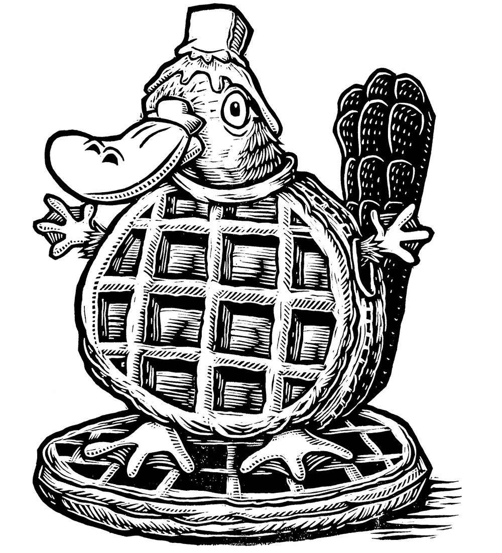 Platypus Waffle Shirt (B2) **FREE SHIPPING**