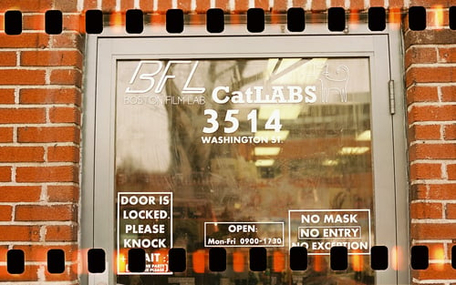 Image of CatLABS X FILM 100 Color Negative film (35mm and 120)