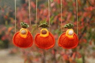 Image of Seedling Baby in a Pumpkin Necklace