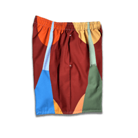 Image 2 of Prism Shorts