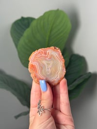 GROOVY GIRLY POP MOROCCAN AGATE