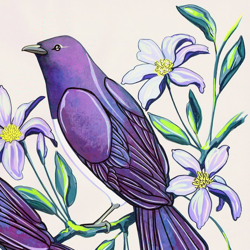 Image of Amethyst Starling and Clematis