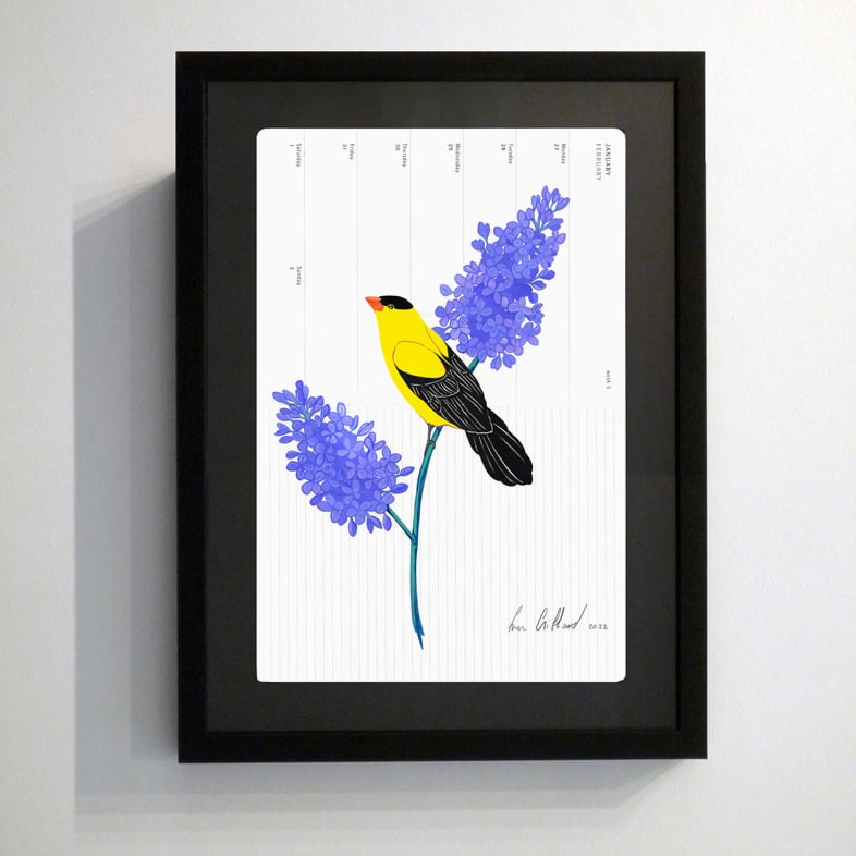 Image of American Goldfinch and Septre