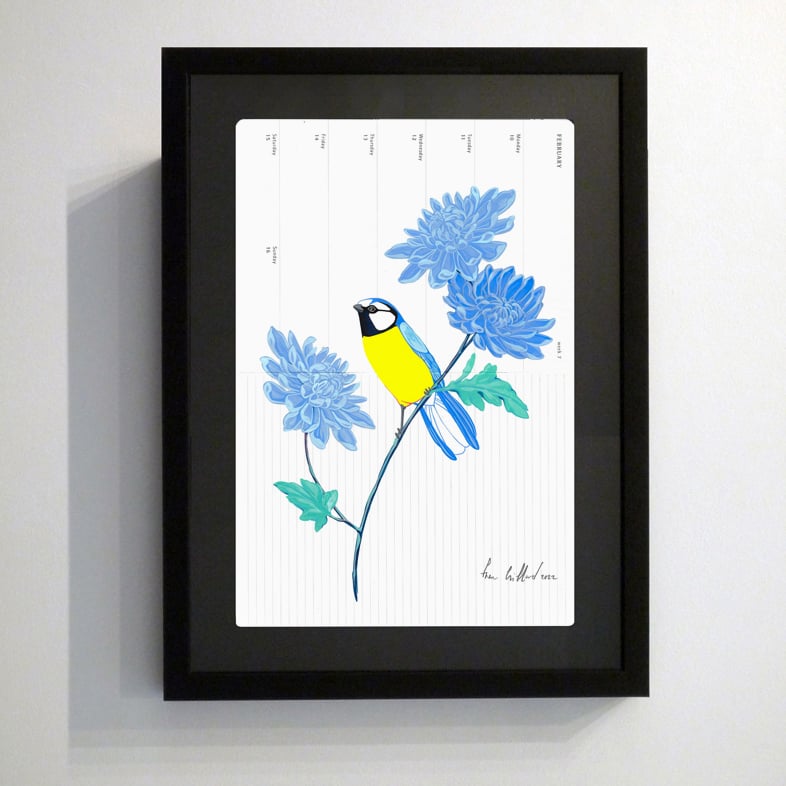 Image of Blue Tit and Chrysanthemum