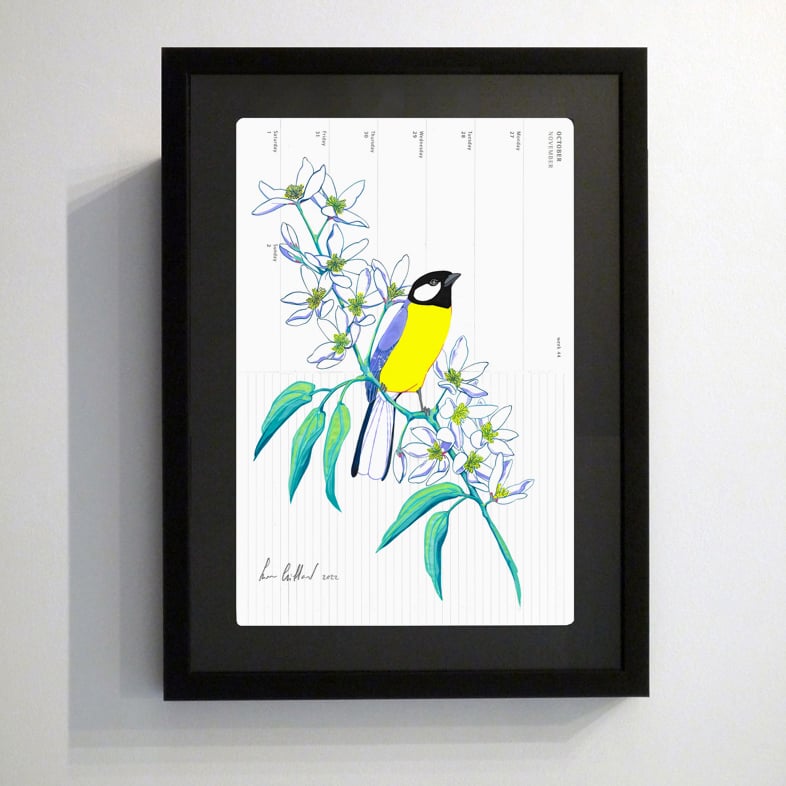 Image of Great Tit and Clematis