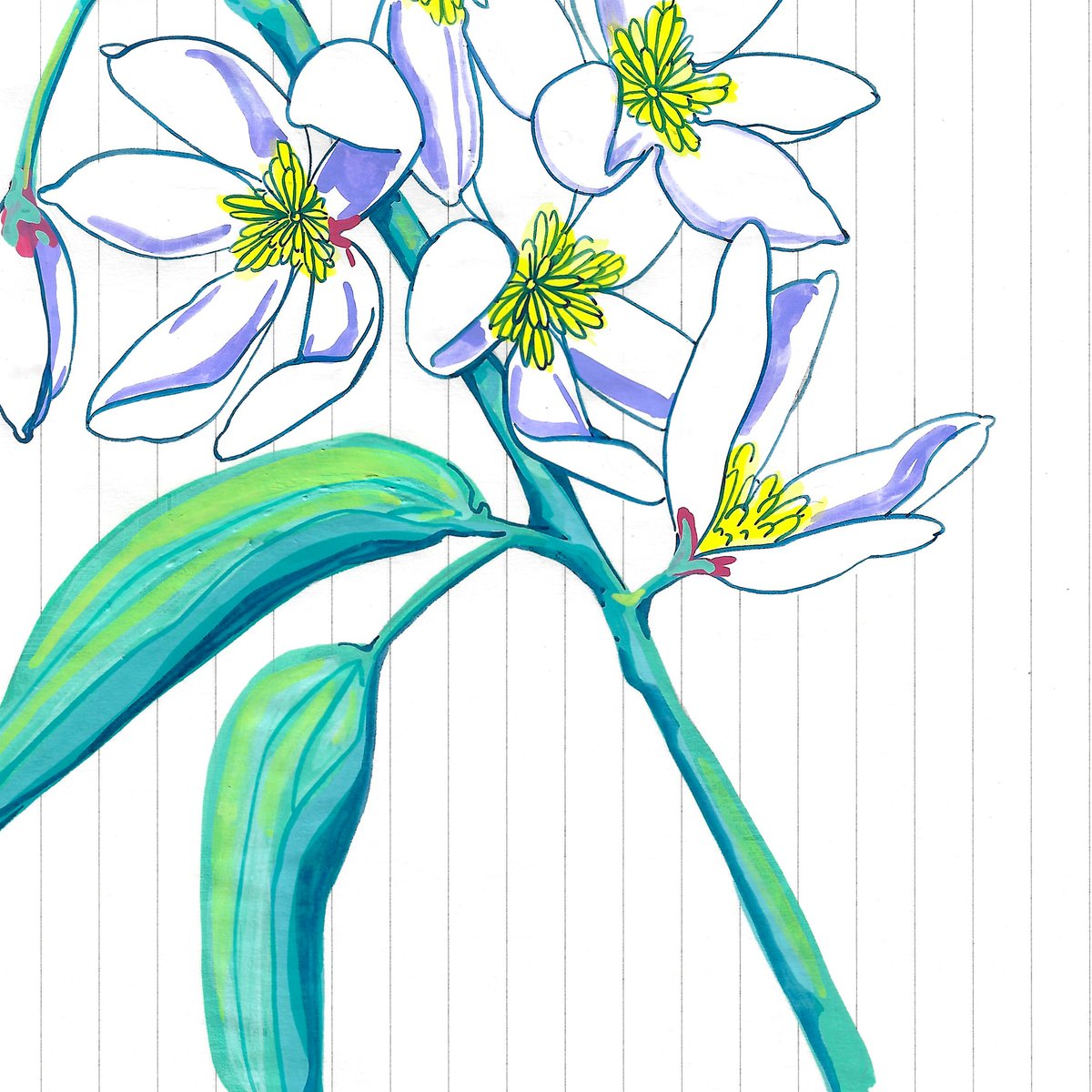 Image of Great Tit and Clematis