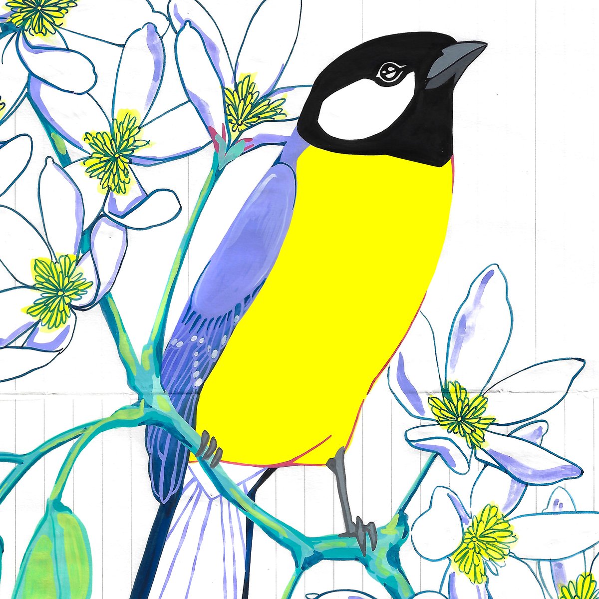 Image of Great Tit and Clematis