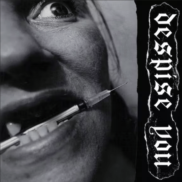 DESPISE YOU 'West Side Horizons" CD