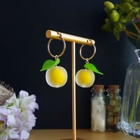 Image 4 of Lemon Hoops | Lemon Collection