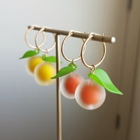 Image 3 of Orange Hoops | Lemon Collection