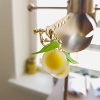 Image 4 of Classic Lemon Hooks | Lemon Collection