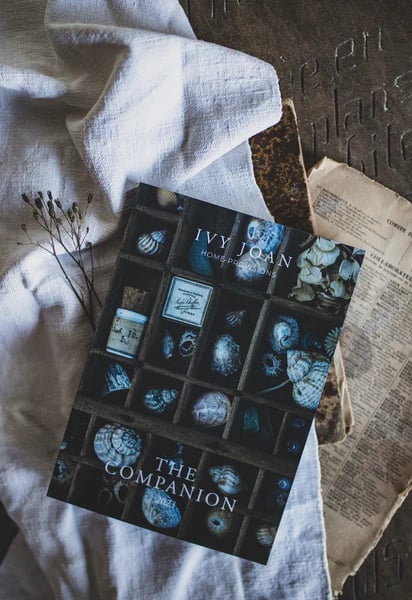 Image of The Companion 2023 Diary