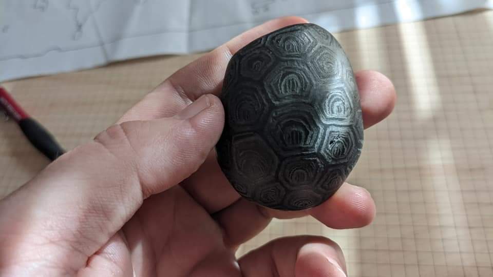 Image of Turtle Stone