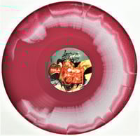 Image 3 of LAST DAYS OF HUMANITY - HYMNS OF INDIGESTABLE SUPPURATION (GATEFOLD)