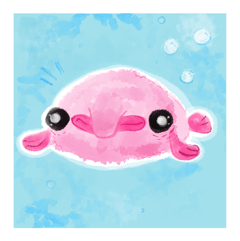Image of Blobfish print
