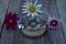 Image of Summer Abundance Bracelet Cosmos Mystic Dahlia Daisy Flower Cuff/Bracelet