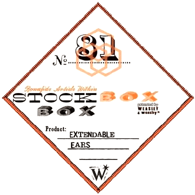 Image of Magical Shop Brothers