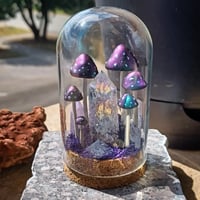Image 4 of Crystal and Mushroom Terrarium 