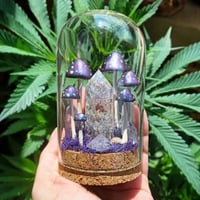 Image 1 of Crystal and Mushroom Terrarium 