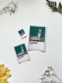 Image 3 of A LLAMA!!