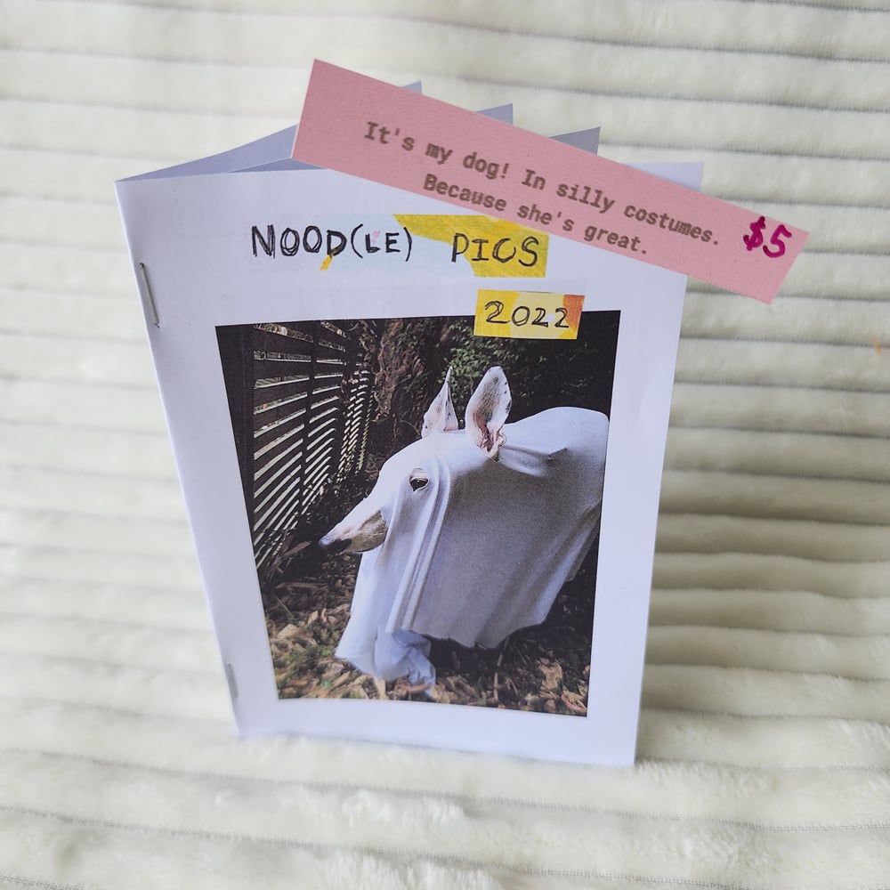 Image of Noodle photography zine