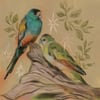 golden-shouldered parrot print