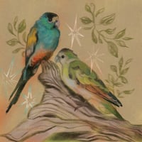 Image 1 of golden-shouldered parrot print