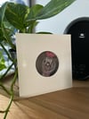 Shadow Cat 7 Inch Vinyl
