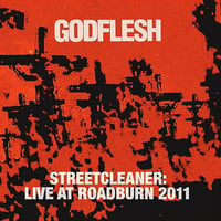 Image of Godflesh "Streetcleaner - Live at Roadburn 2011" 2xLP