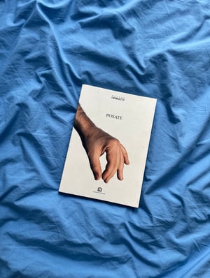 Posate by Marco Ferreri - 1st Edition (2000)