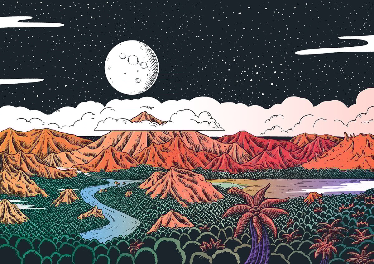 THE WILDERNESS COLLECTION BY CLAIRE SCULLY