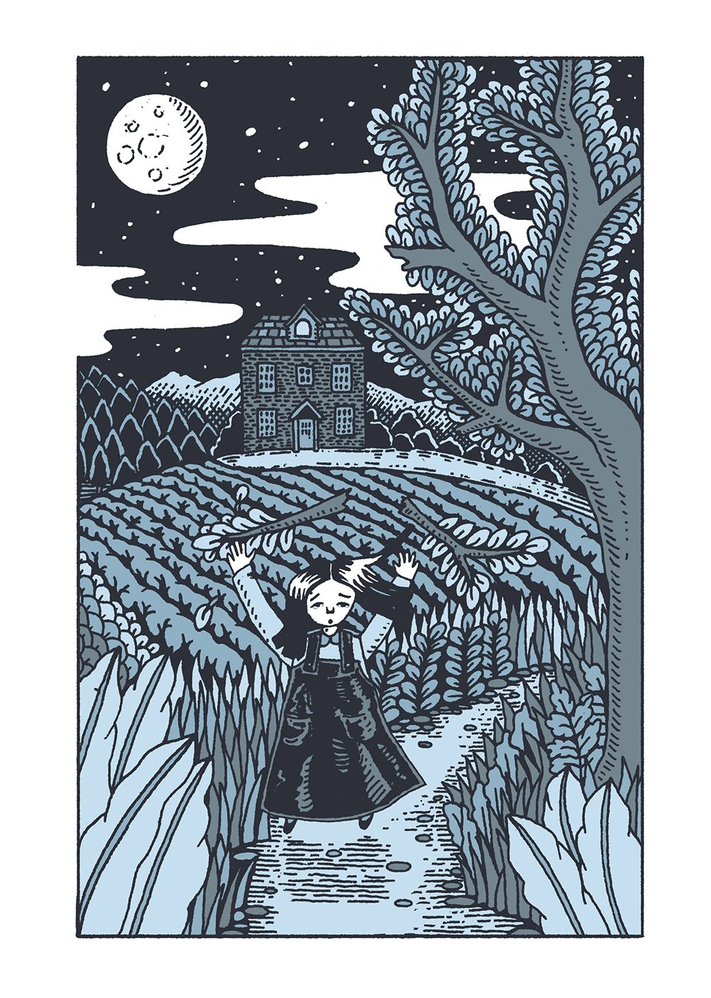 THE WILDERNESS COLLECTION BY CLAIRE SCULLY