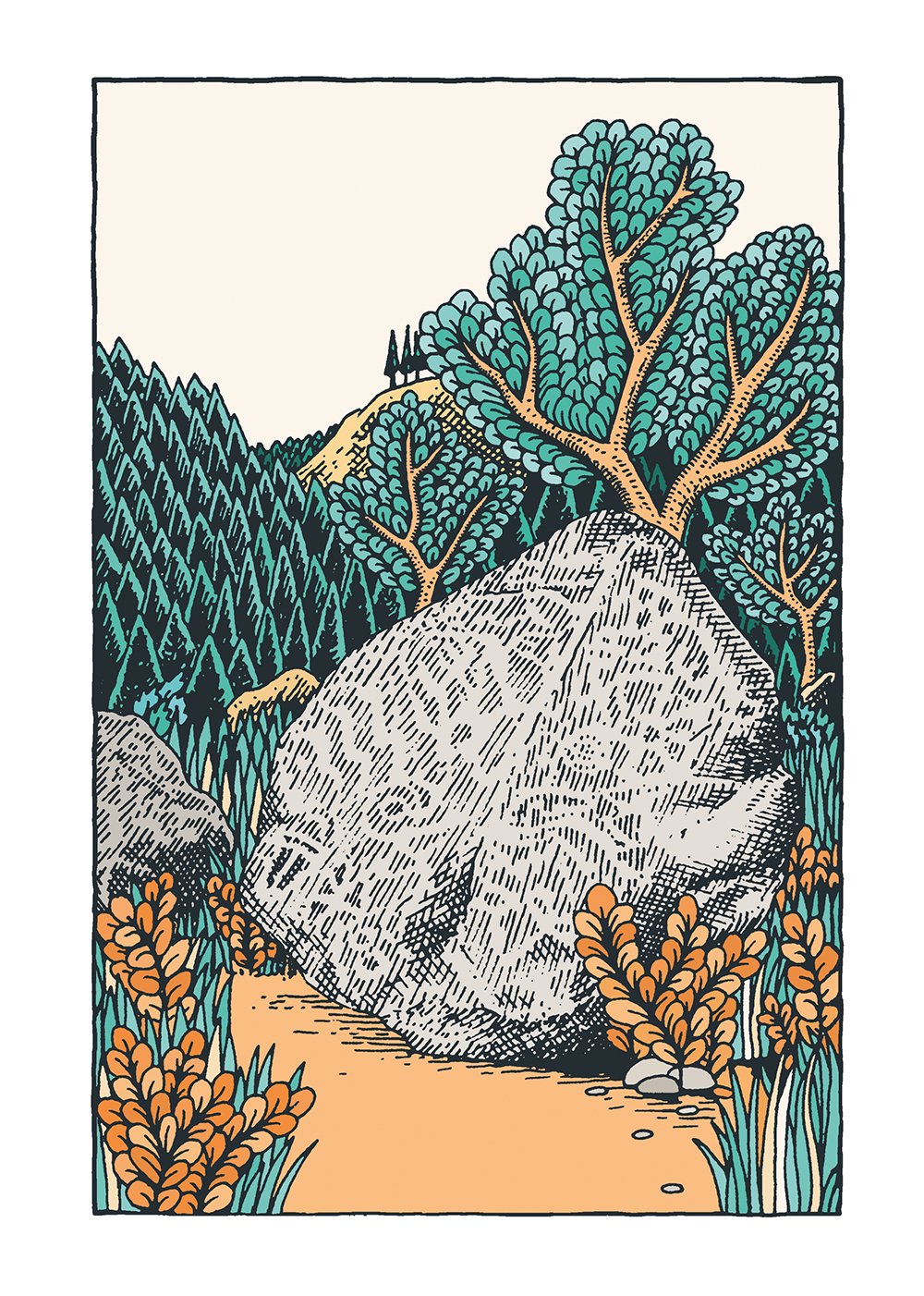 THE WILDERNESS COLLECTION BY CLAIRE SCULLY