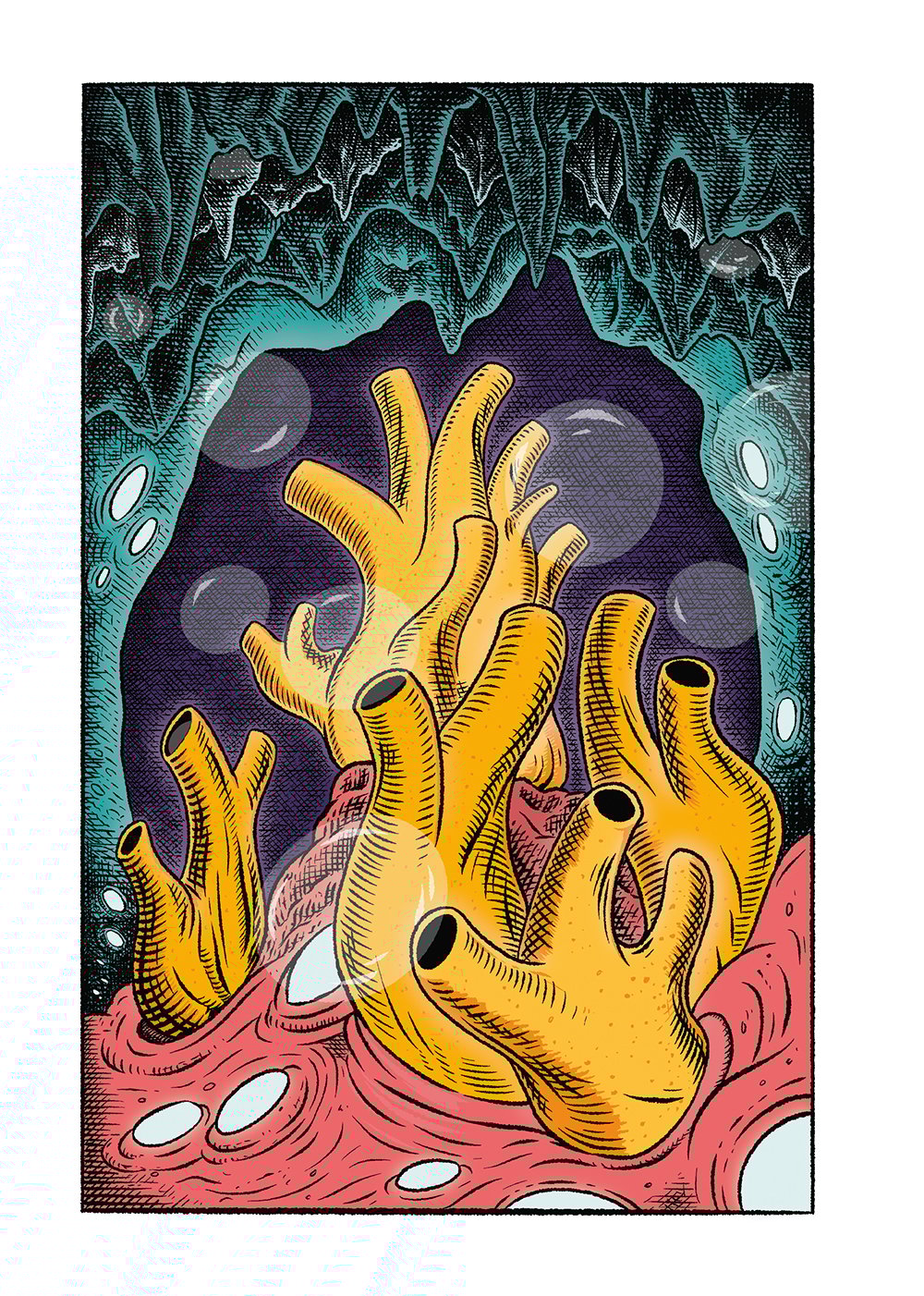 THE WILDERNESS COLLECTION BY CLAIRE SCULLY