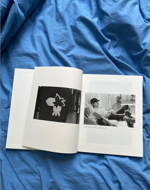 The Shepherd by Yoshie Tominaga and Undercover (2008)