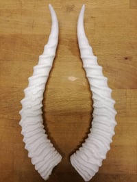 Image 1 of Replica Dorcas Gazelle Horns