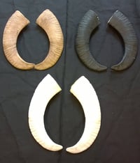 Image 2 of Replica Aoudad Style Horns