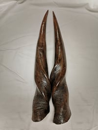 Image 3 of Replica Small Eland Antelope Horns