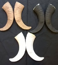 Image 3 of Replica Aoudad Style Horns