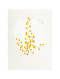 Image 5 of Carte Blanche !