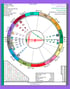Color Pallete-1 ESSENTIALS ASTROLOGY  BIRTH CHART + interpretation report and more.  Image 5