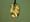 Image of Quadrant Primal Breaching Sign (Engraved Copper)