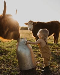 Image 1 of 10/13 PASTURE mini session