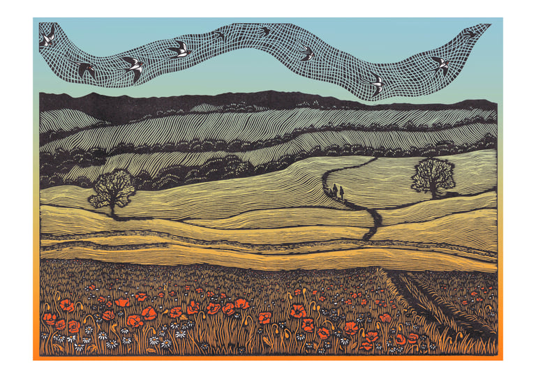 Poppy Meadow Image 4