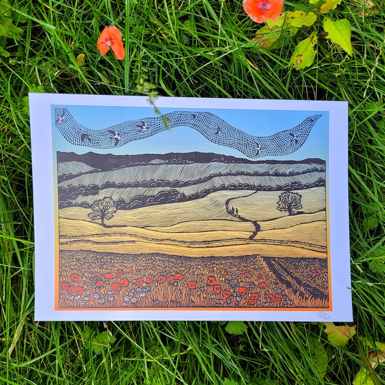 Poppy Meadow Image 2