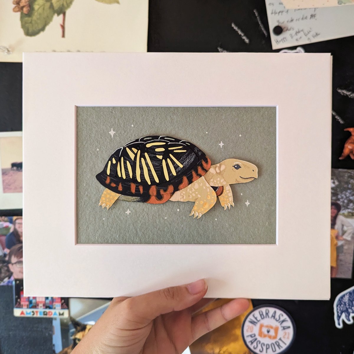 Image of Cut paper box turtle