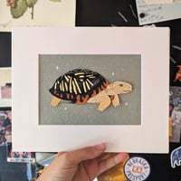 Image 1 of Cut paper box turtle