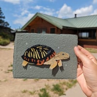 Image 2 of Cut paper box turtle