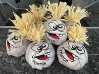 Image 1 of THATCH Plush Volleyball 